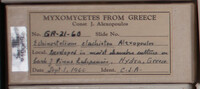 Image Associated With the Occurence